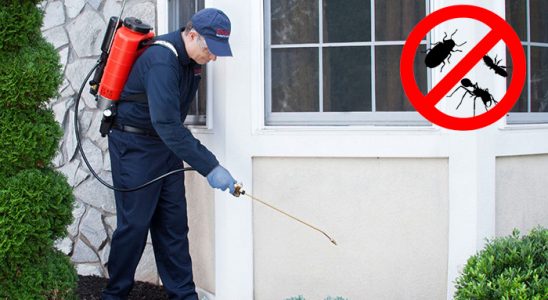 Eleşkirt Pire İlaçlama böcek ilaçlama ve haşere kontrolü — ilaclama-tr.com